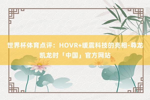 世界杯体育点评：HOVR+缓震科技的亮相-尊龙凯龙时「中国」官方网站