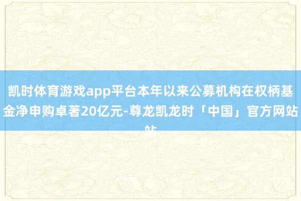 凯时体育游戏app平台本年以来公募机构在权柄基金净申购卓著20亿元-尊龙凯龙时「中国」官方网站