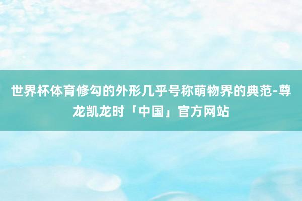 世界杯体育修勾的外形几乎号称萌物界的典范-尊龙凯龙时「中国」官方网站