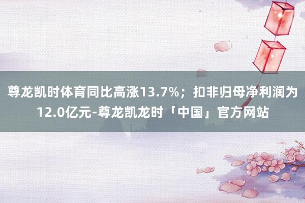 尊龙凯时体育同比高涨13.7%；扣非归母净利润为12.0亿元-尊龙凯龙时「中国」官方网站