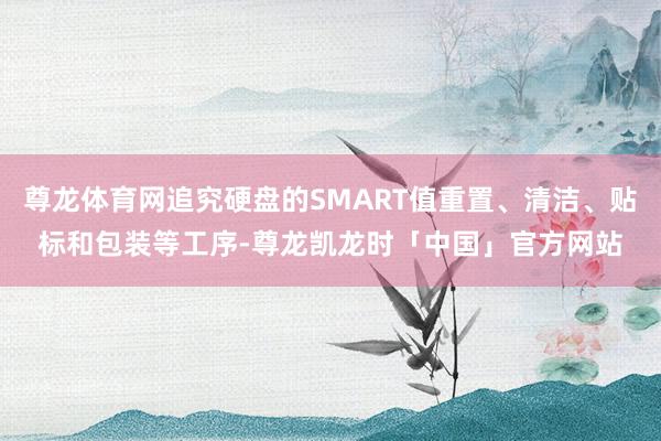 尊龙体育网追究硬盘的SMART值重置、清洁、贴标和包装等工序-尊龙凯龙时「中国」官方网站