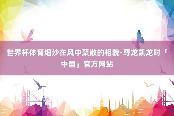 世界杯体育细沙在风中聚散的相貌-尊龙凯龙时「中国」官方网站