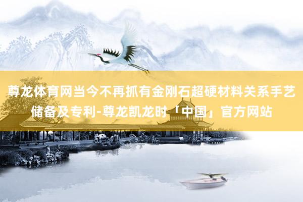 尊龙体育网当今不再抓有金刚石超硬材料关系手艺储备及专利-尊龙凯龙时「中国」官方网站