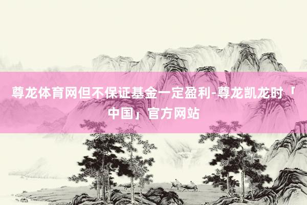 尊龙体育网但不保证基金一定盈利-尊龙凯龙时「中国」官方网站