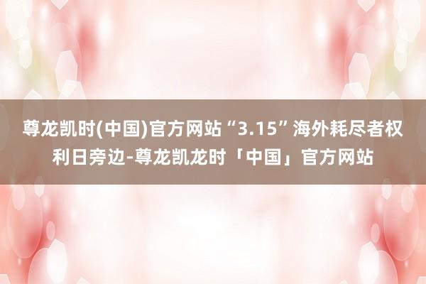 尊龙凯时(中国)官方网站“3.15”海外耗尽者权利日旁边-尊龙凯龙时「中国」官方网站